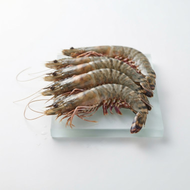Camarão Tigre 1kg